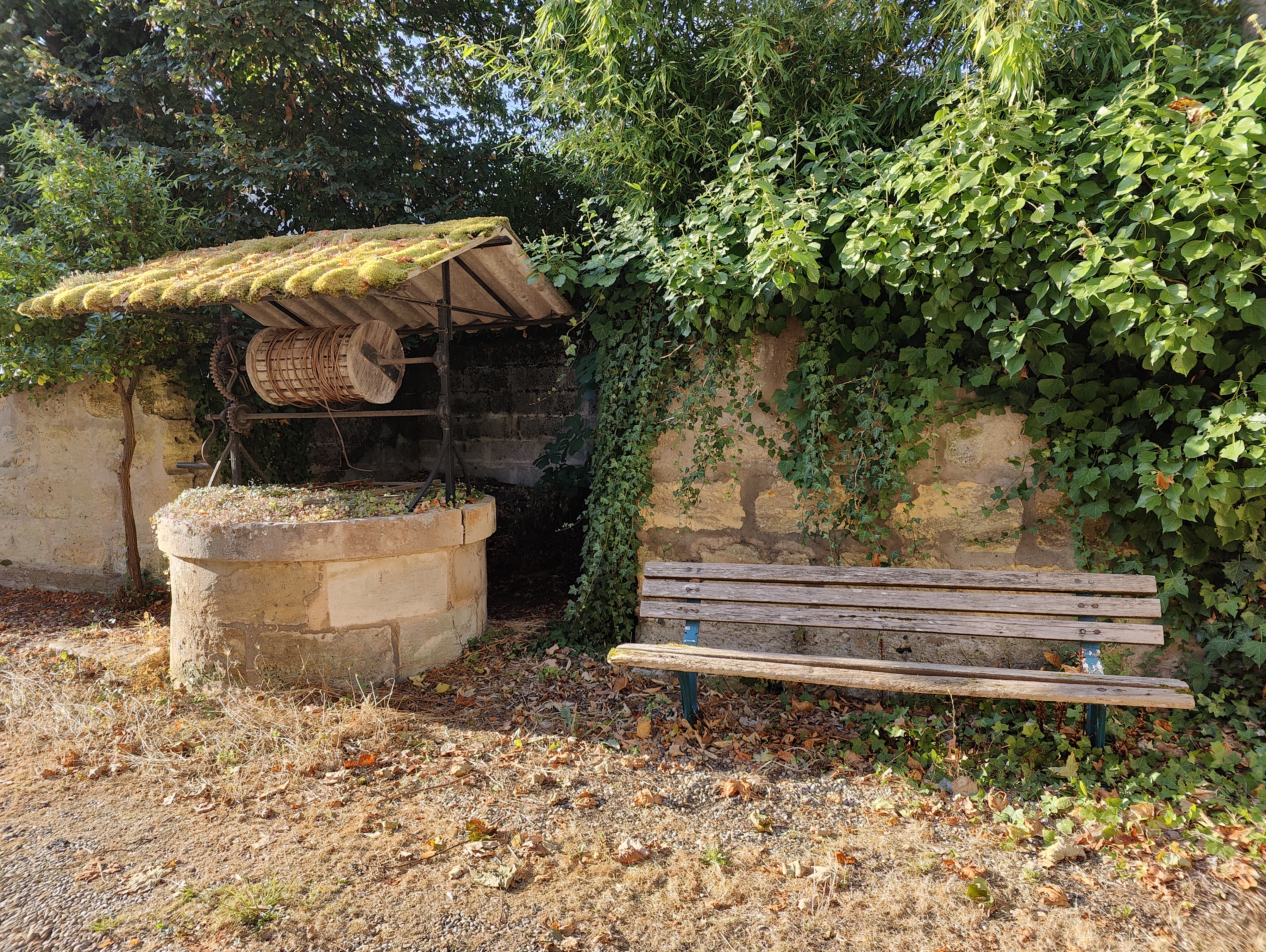 Vue du jardin - Maison 6 pièces Camblanes