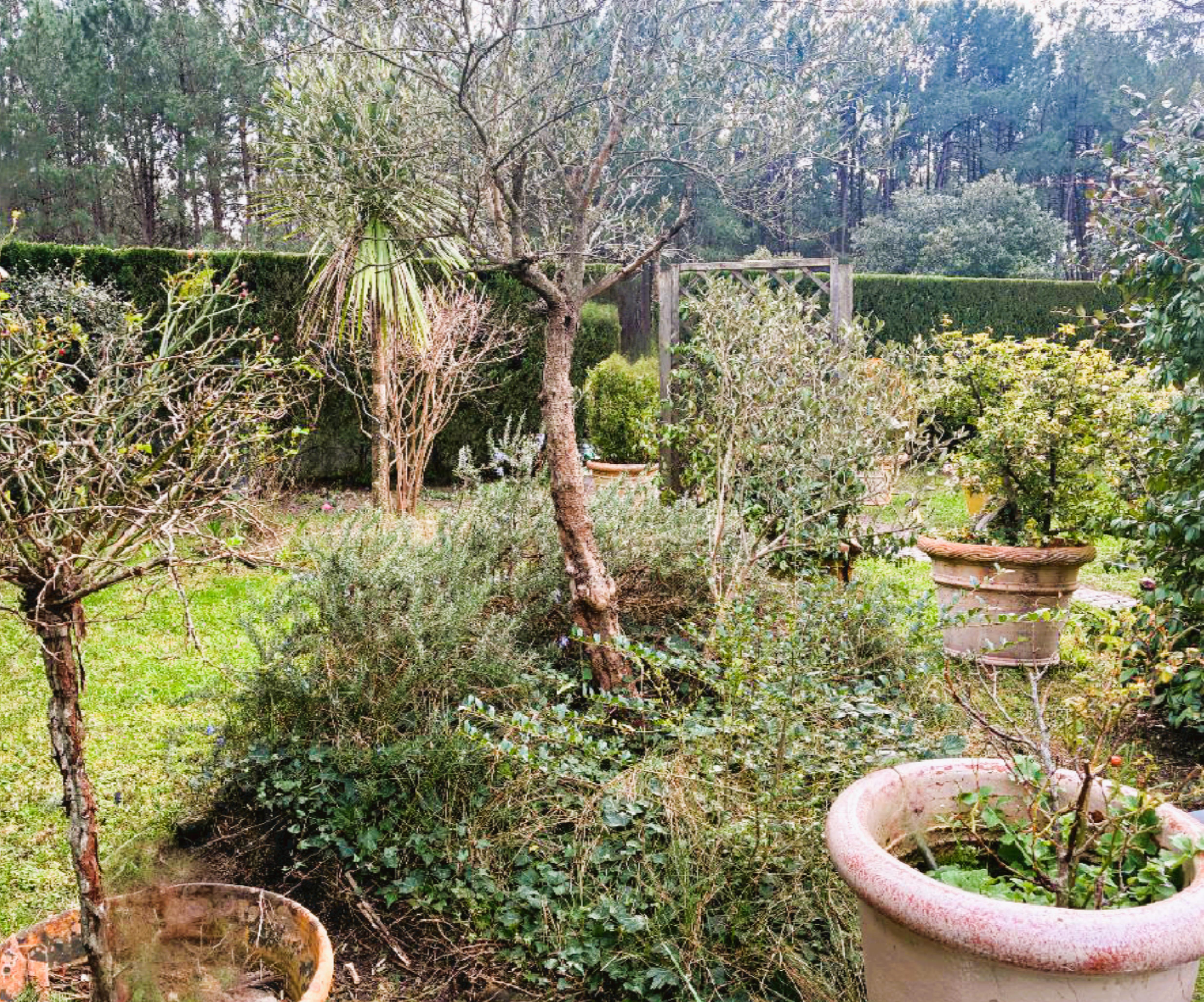 Jardin- Maison 105 m2 Gujan Mestras